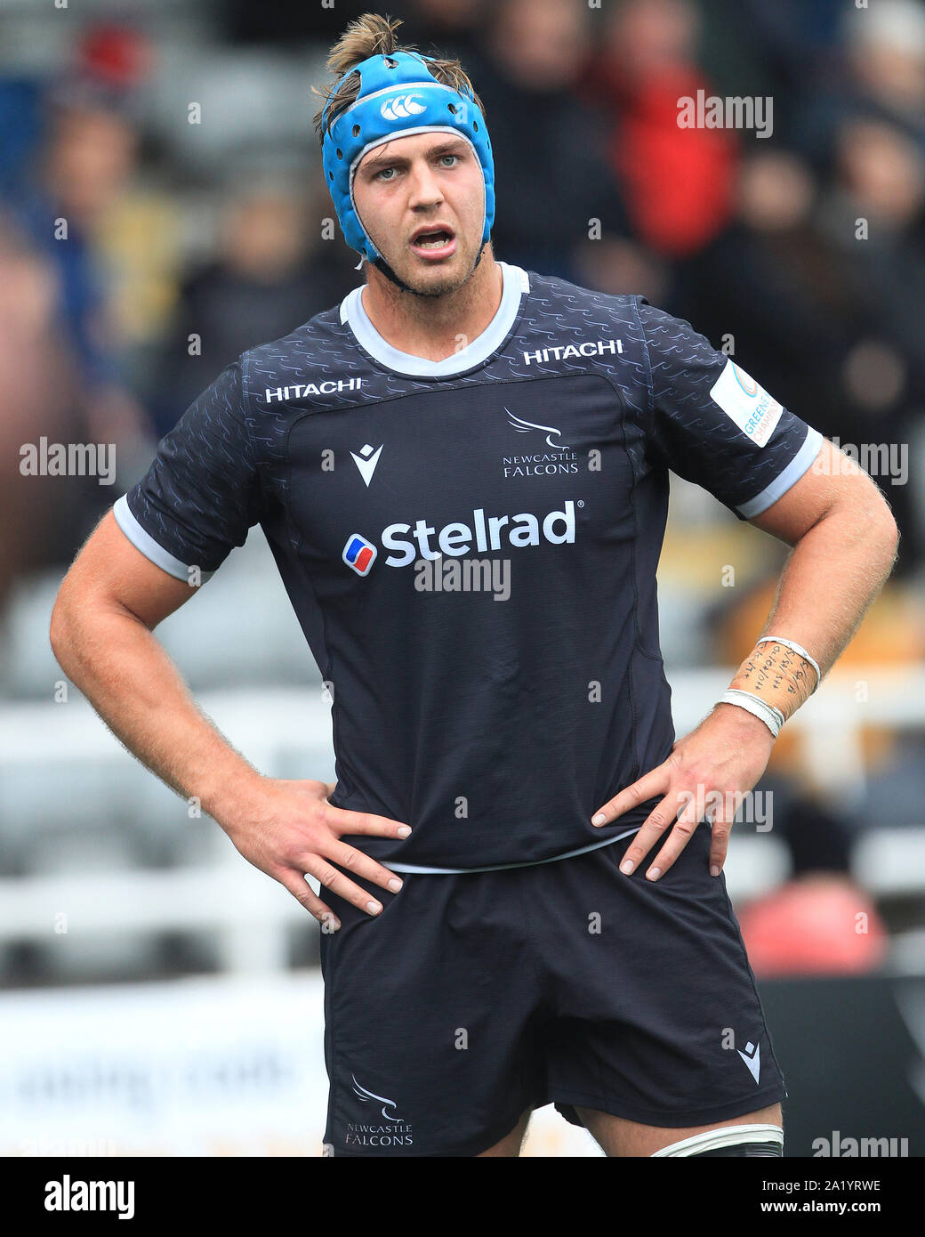 NEWCASTLE UPON TYNE, Inghilterra settembre 29th Toby Salmoni di Newcastle Falcons durante il processo RFU Championship Cup match tra Newcastle Falcons e Doncaster Cavalieri a Kingston Park, Newcastle domenica 29 settembre 2019. (Credit: Mark Fletcher | MI News ) Credito: MI News & Sport /Alamy Live News Foto Stock