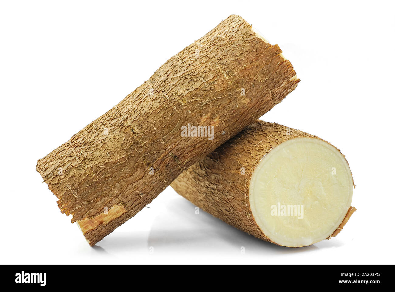Radice di manioca isolati su sfondo bianco Foto Stock