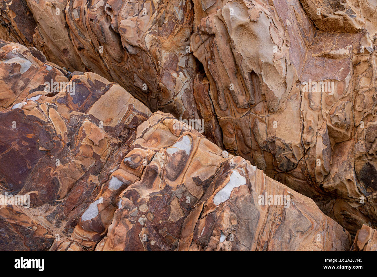 Mudstone e di arenaria a Widemouth Bay sulla costa atlantica del nord della Cornovaglia Foto Stock