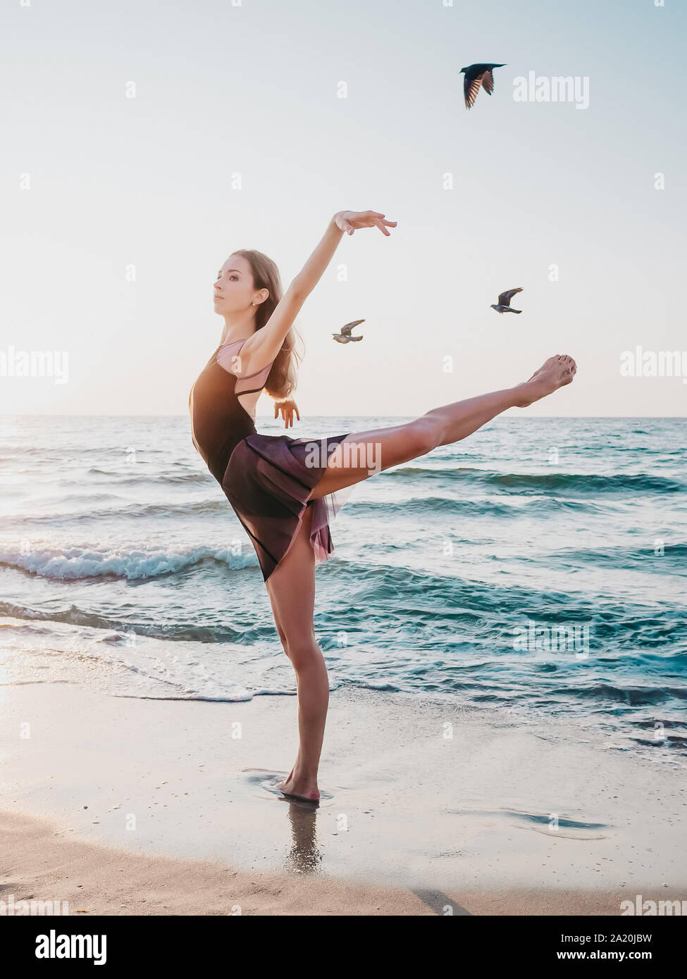 Bella ginnasta o ballerina mostra stiramento sulla mattina di sfondo del  mare e uccelli in volo.scena meravigliosa. La natura, il balletto, danza,  concetto di libertà Foto stock - Alamy