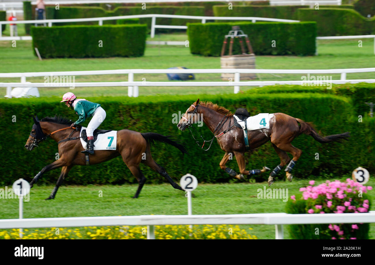 Due cavalli, uno senza un pilota, in esecuzione al Gran Premio di Merano, Italia, 28 Settembre 2019 Foto Stock