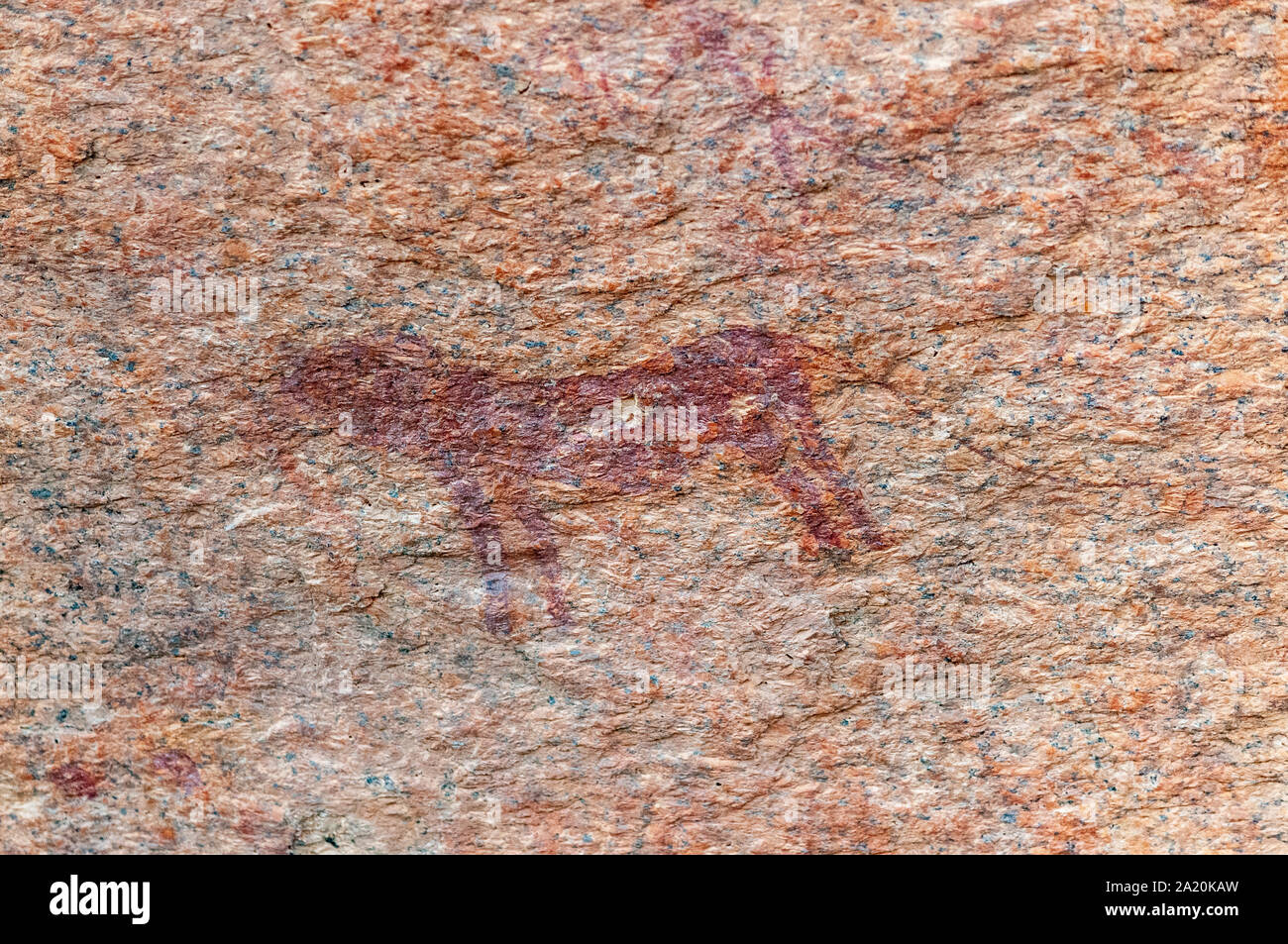 Dettaglio della preistoria pitture rupestri del San persone in Western Namibia, vicino Spitzkoppe. Foto Stock