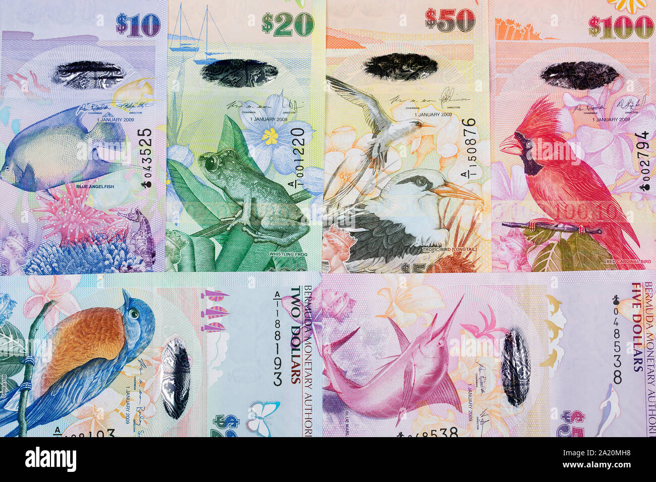 Bermudian dollar un background aziendale Foto Stock