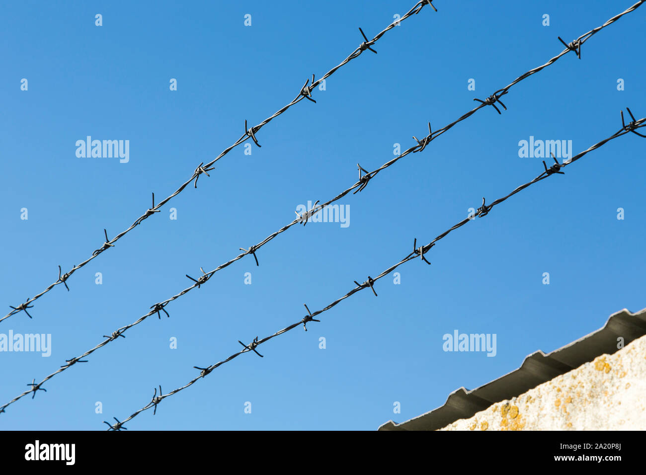 Tre righe di teso il filo spinato, una piccola sezione di un vecchio muro di cemento con tracce di funghi e di una copertura da una lamiera sagomata Foto Stock