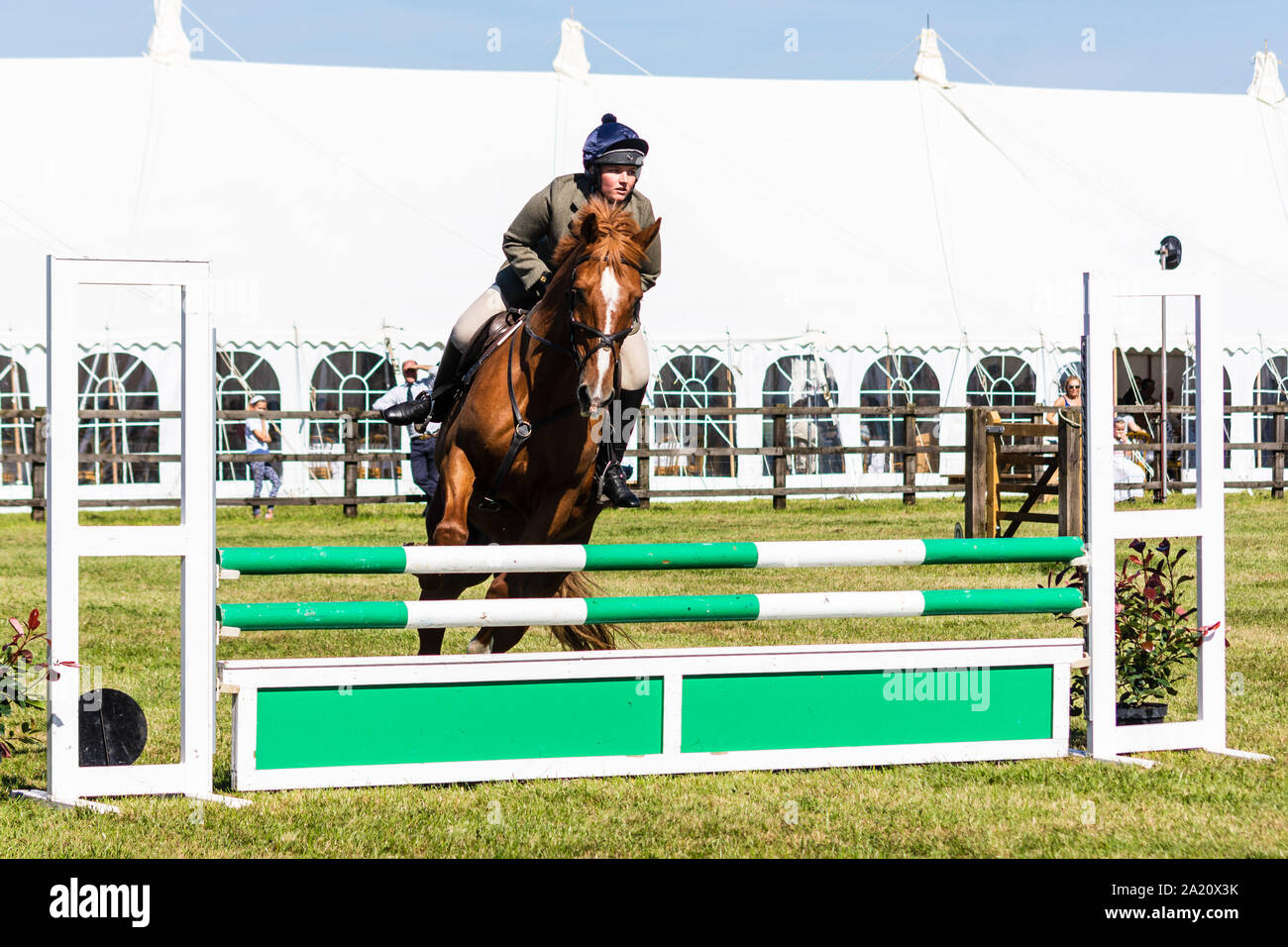 Un cavallo e cavaliere saltando un ostacolo nel relè Inter-Hunt al 2019 Frome Cheese show Foto Stock