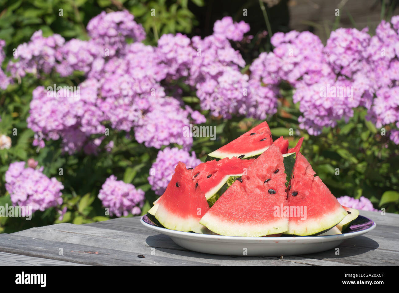 Grandi fette di cocomero contro sfondo naturale con fiori su un tavolo in un giardino Foto Stock
