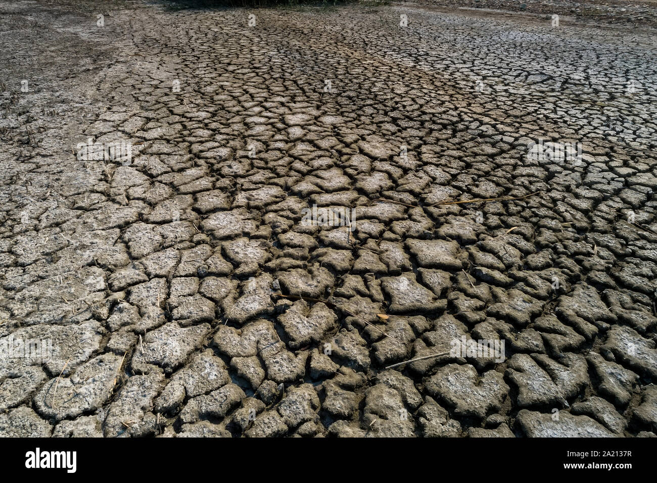 Dry Lake bed con consistenza naturale di argilla incrinato in prospettiva piano. Death Valley campo sfondo .. Messa a fuoco selettiva sul suolo nero terra scura. Idea Foto Stock