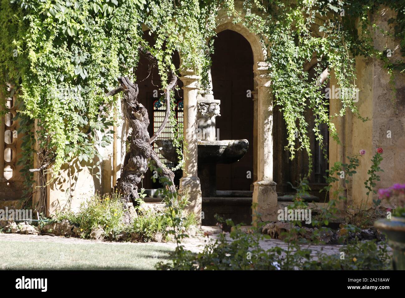 Villeveyrac, Francia. 02 Agosto, 2019. L' Abbazia di Valmagne in Villeveyrac.Credit: Veronique Phitoussi/Alamy Stock Photo Foto Stock