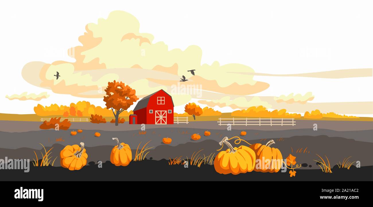 Caduta paesaggio di campagna. Rurale illustrazione autunnali con zucche, corvi e granaio rosso. Illustrazione Vettoriale