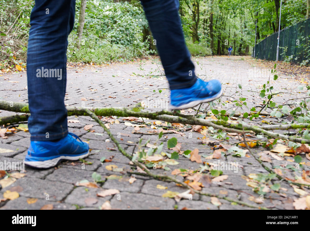 Berlino, Germania. Il 30 settembre, 2019. Rami spezzati dalla tempesta giacciono sul modo in riva al lago di Tegel. Credito: Annette Riedl/dpa/Alamy Live News Foto Stock