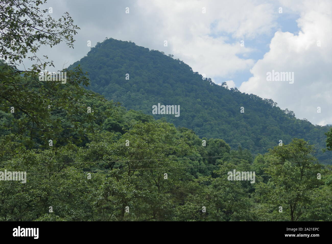 Montagne coperte di verdi alberi in Sikkim, India Foto Stock