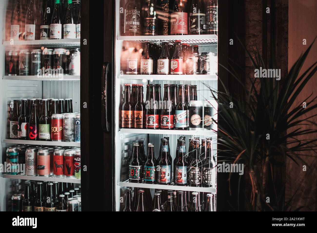 Bottiglie di birra raffreddamento in ripiani del frigorifero. Bier Kraft, Siviglia, in Andalusia, Spagna Foto Stock