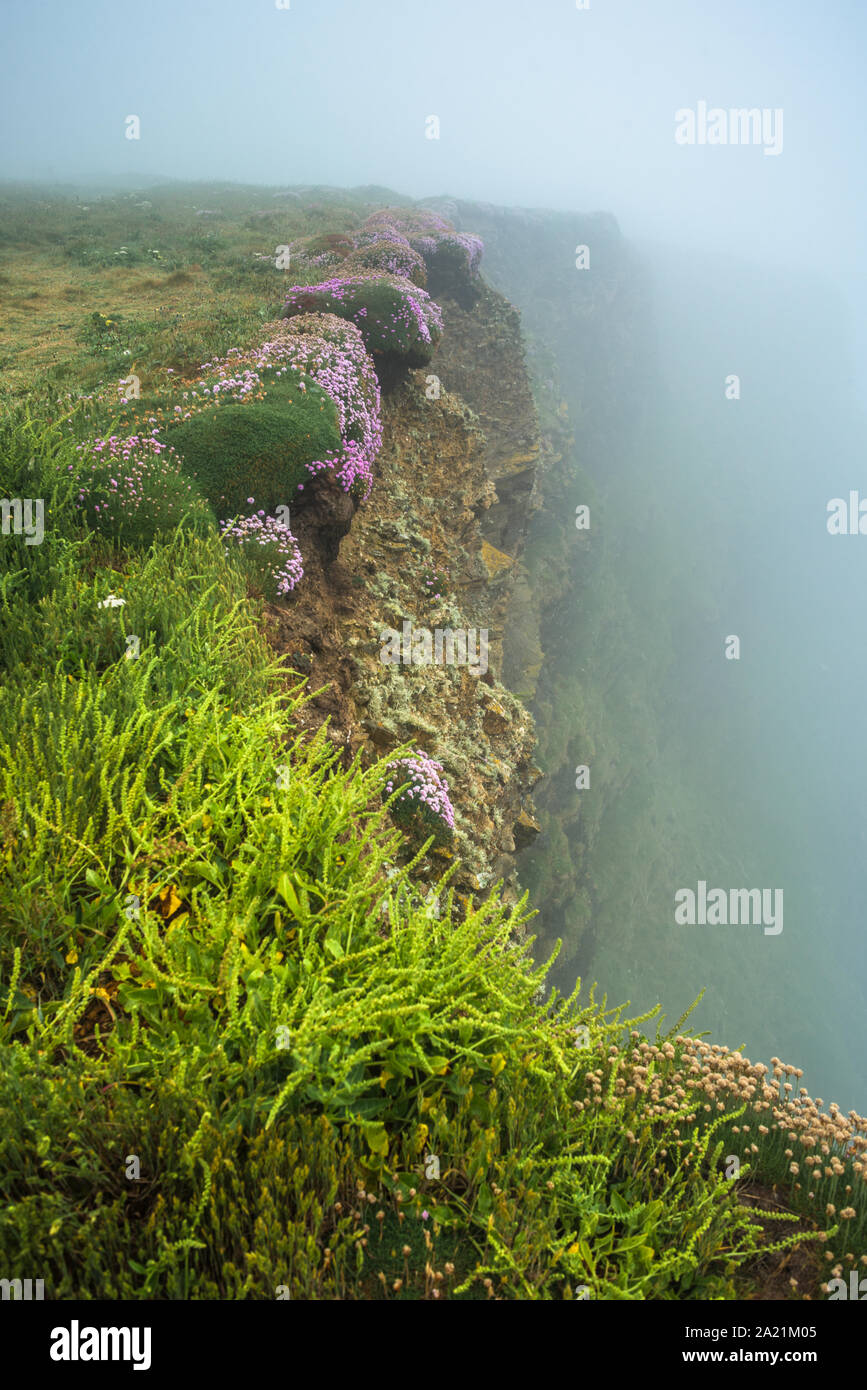 Tregurrian su un nebbioso giorno, vicino a Newquay, Cornwall, Inghilterra, Gran Bretagna, UK. Foto Stock