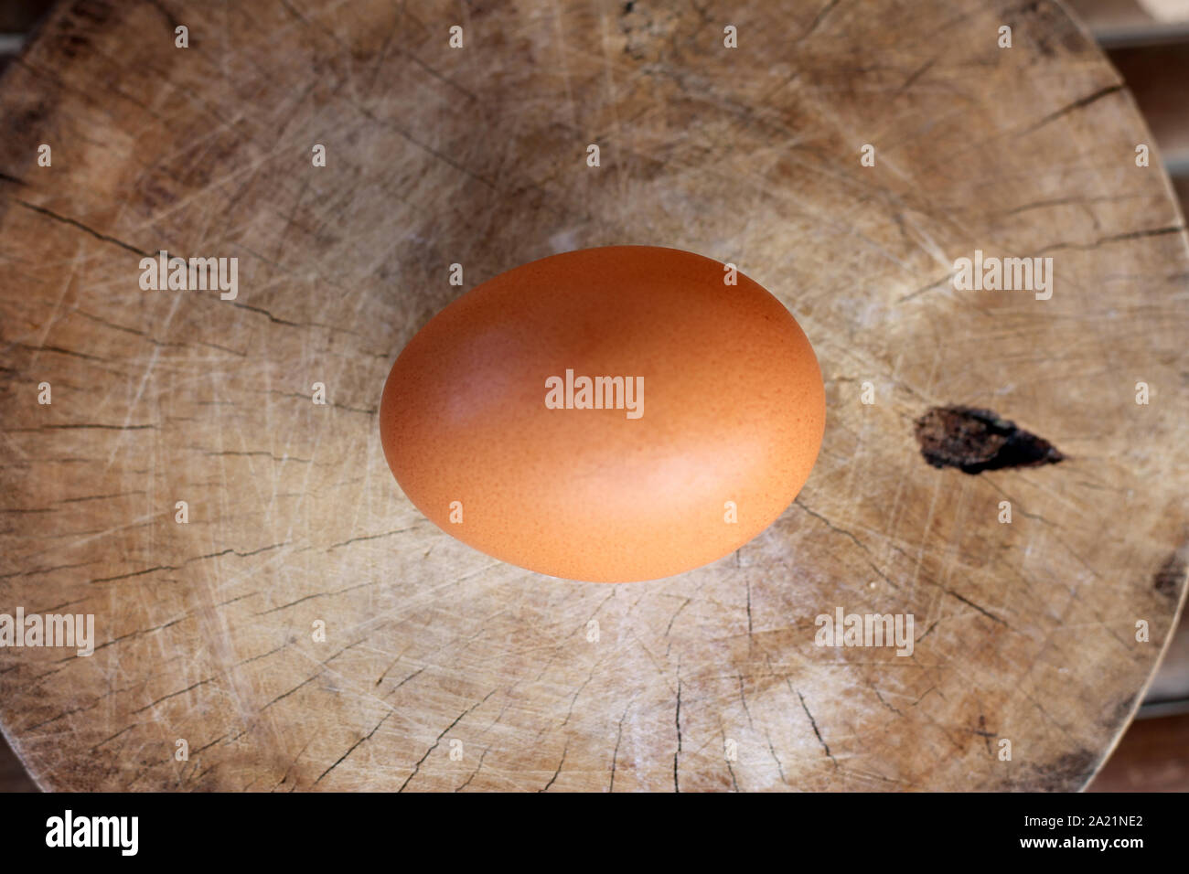 Una materie brown uovo che posa su di un tagliere di legno Foto Stock