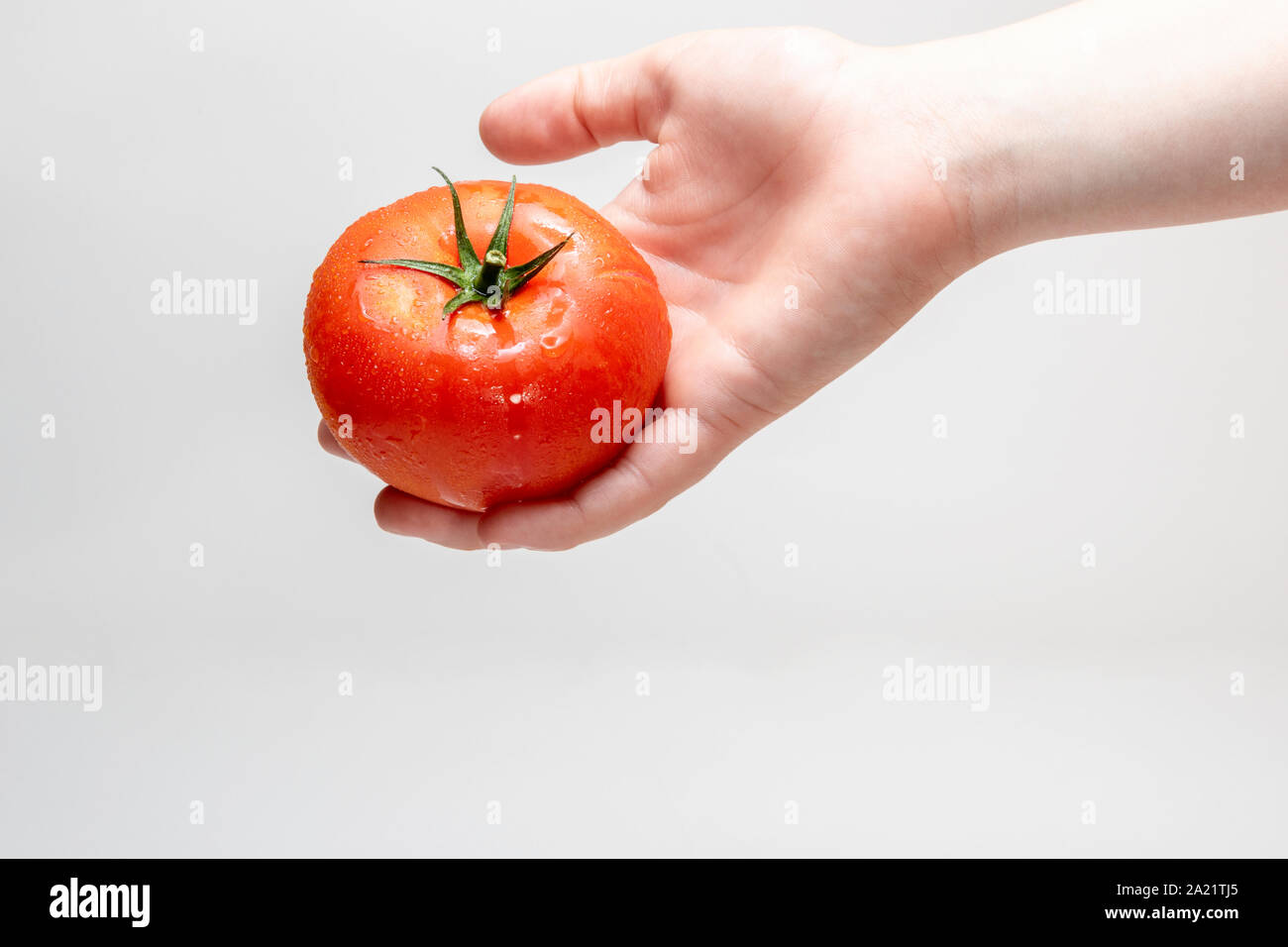 Umidità di grandi dimensioni coperto rosso pomodoro essendo trattenuto in una piccola mano con uno sfondo bianco. Foto Stock