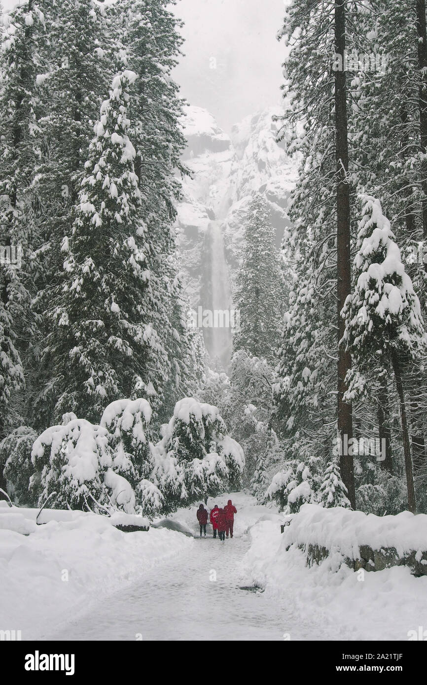 Tre persone in rosso a piedi verso Bridalveil rientrano nel Parco Nazionale di Yosemite in inverno. Foto Stock