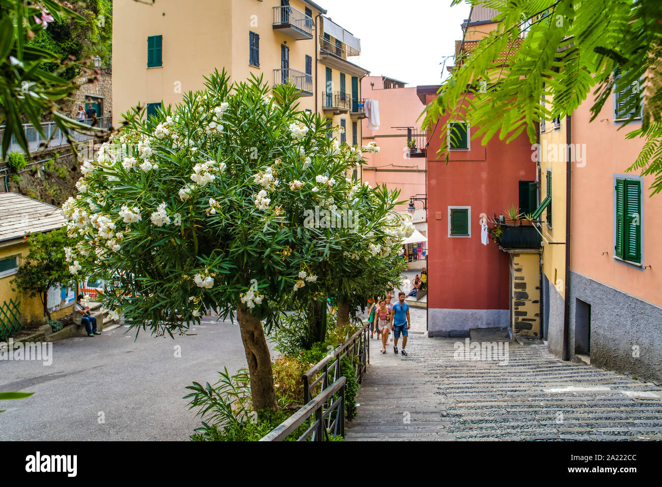 Riomaggiore Cinque Terre, Italia - Agosto 17, 2019: città strade strette con case colorate, una località di villeggiatura in Europa sulla riva del Mar Ligure Foto Stock