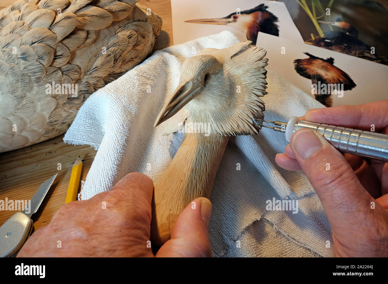Persona a mano le piume di intaglio su legno svasso maggiore, Norfolk, Inghilterra Foto Stock