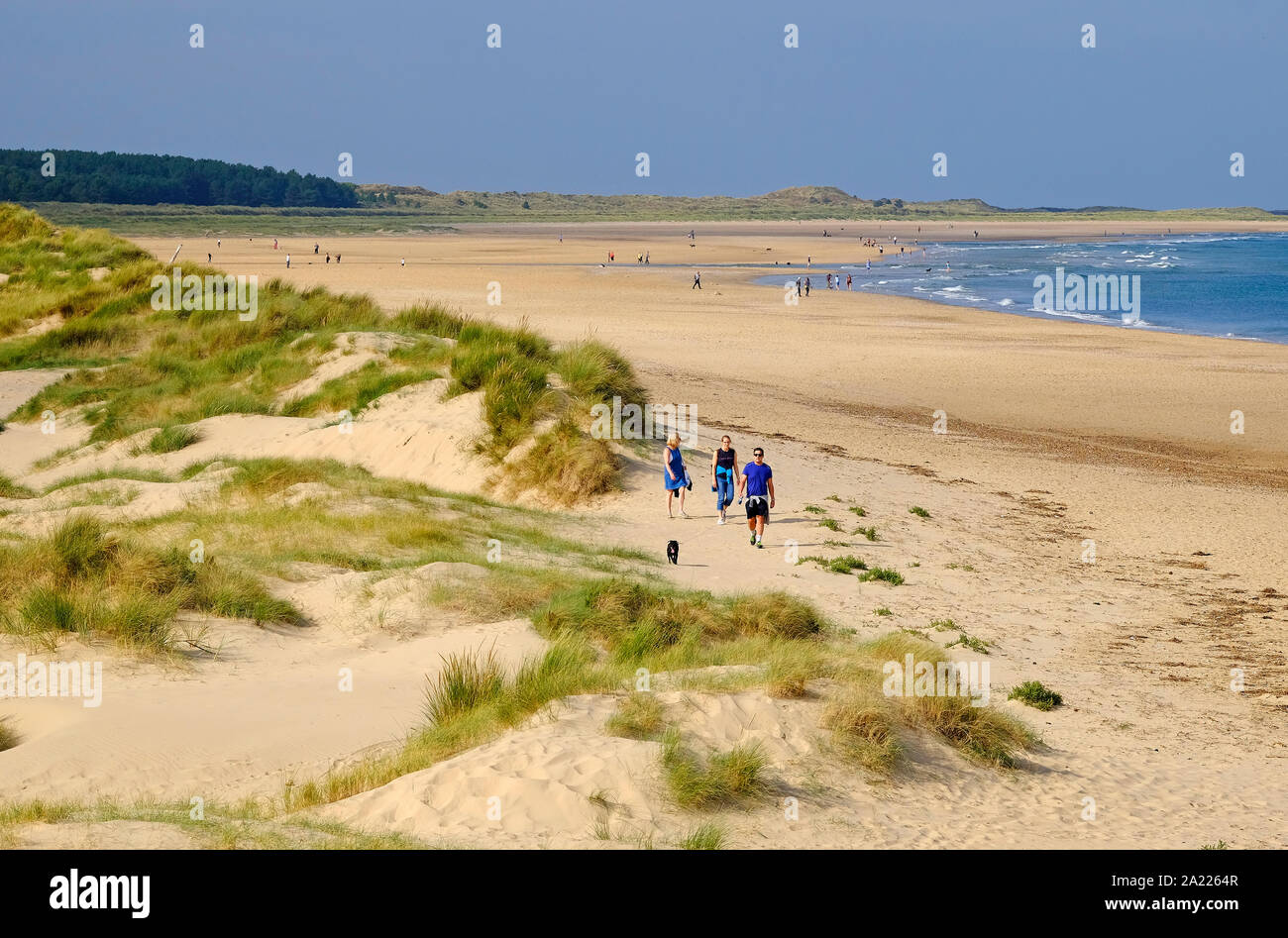 La gente camminare sulla spiaggia a holkham, North Norfolk, Inghilterra Foto Stock