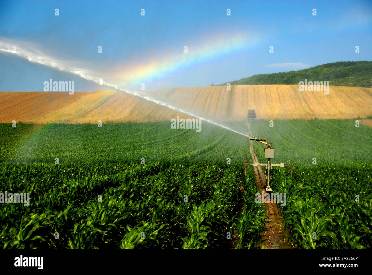 Impianto di irrigazione irrigazione di un campo di mais, Limagne, Auvergne Francia, Europa Foto Stock