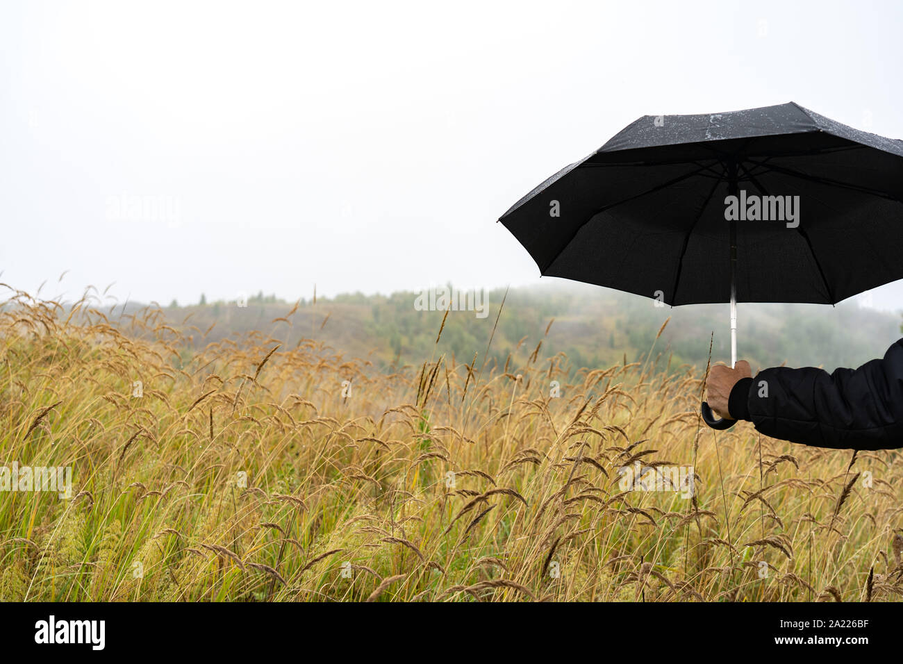 La mano di un uomo con un ombrello sulla natura Foto Stock