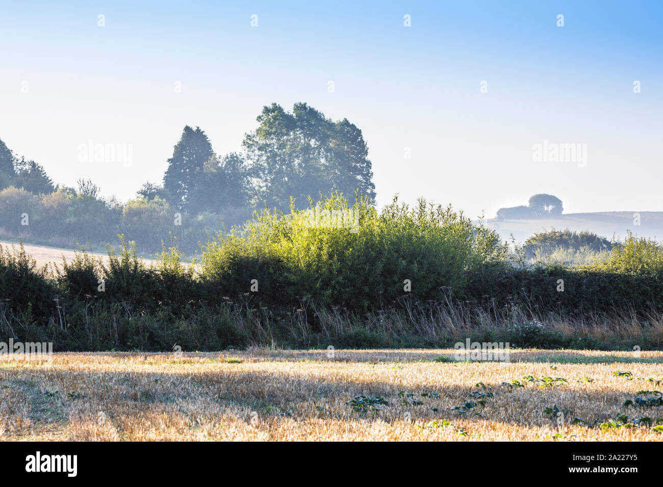 La vista verso Liddington collina vicino a Swindon, Wiltshire su un inizio autunno mattina. Foto Stock