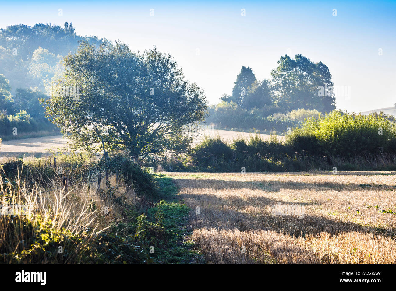La vista verso Liddington collina vicino a Swindon, Wiltshire su un inizio autunno mattina. Foto Stock