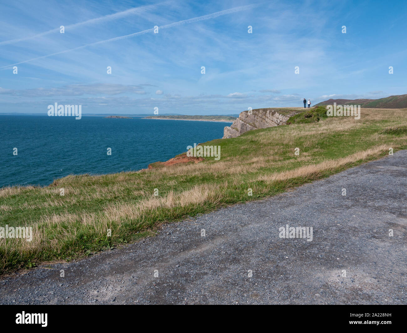 Testa di vermi Galles del Sud della Penisola di Gower fuori scena costiere - Galles; Regno Unito Foto Stock