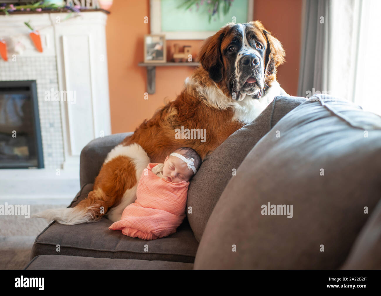 Neonato ragazza snuggling con grande cane a casa sul lettino Foto Stock