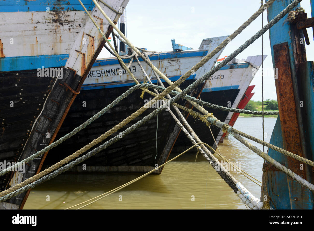 INDIA, Karnataka, Mangaluru, ex nome Mangalore, carico di legno barche nel porto vecchio legati insieme con funi a quai Foto Stock