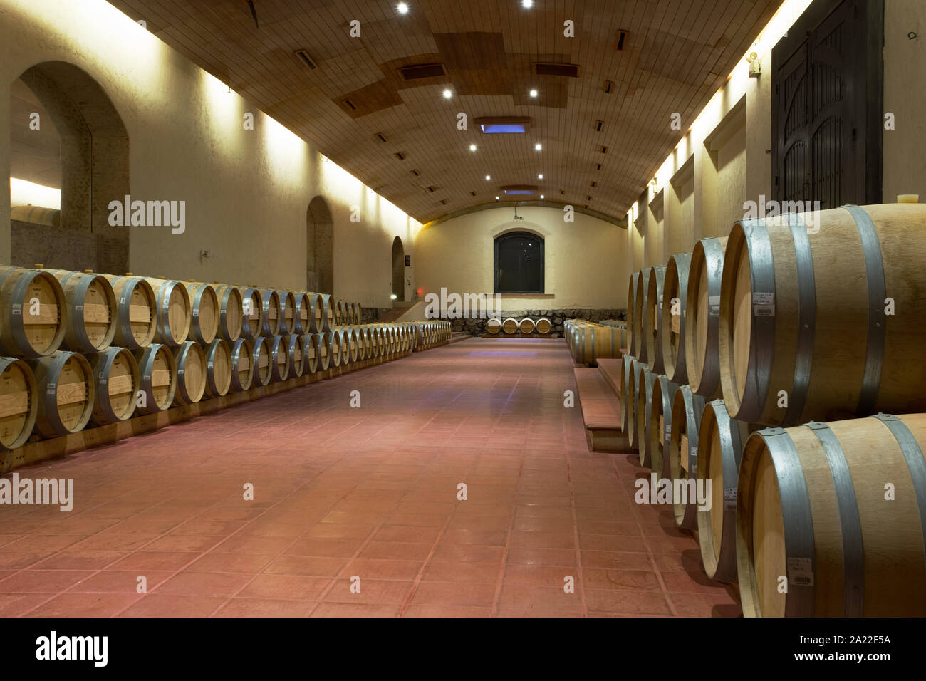 Vino di quercia tini, Maipo Valley, Cile Foto Stock