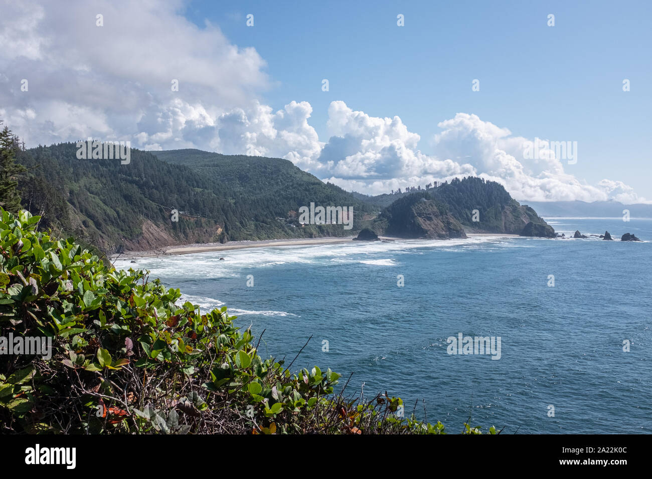 Vista di sud da Cape Meares, Oregon. La spiaggia è un luogo eccellente per trovare agate. Foto Stock