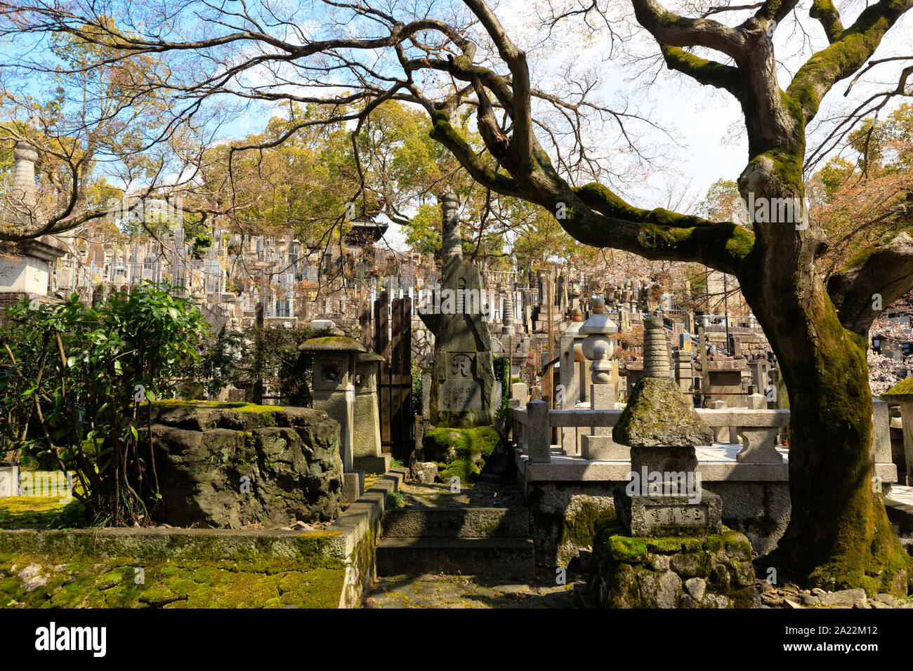 Tradizionale Giapponese del cimitero di Konkai Kyomo-ji Foto Stock