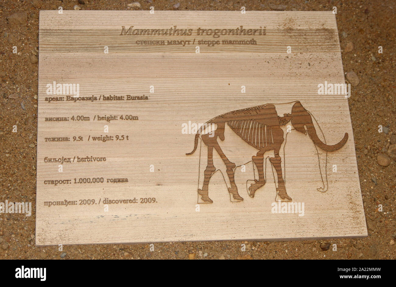 Segno che mostra i dettagli di steppa mammoth fossili, Mammuthus trogontherii, Viminacium, scientifico sito archeologico, Kostolac, Branichevo distretto, Serbia. Foto Stock