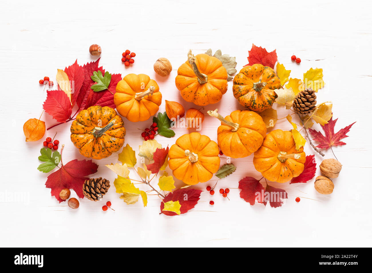 Festive autunno zucche decor con caduta foglie e bacche, dadi su sfondo bianco. La Giornata del Ringraziamento o di halloween holiday, concetto di raccolto. Vista superiore fl Foto Stock