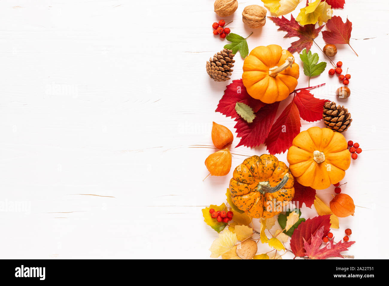 Festive autunno zucche decor con caduta foglie e bacche, dadi su sfondo bianco. La Giornata del Ringraziamento o di halloween holiday, concetto di raccolto. Vista superiore fl Foto Stock