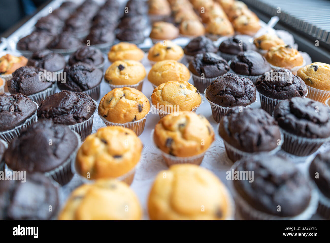 Il cibo. Ein Blech mit dunklen (schoko) und hellen muffin. Foto Stock