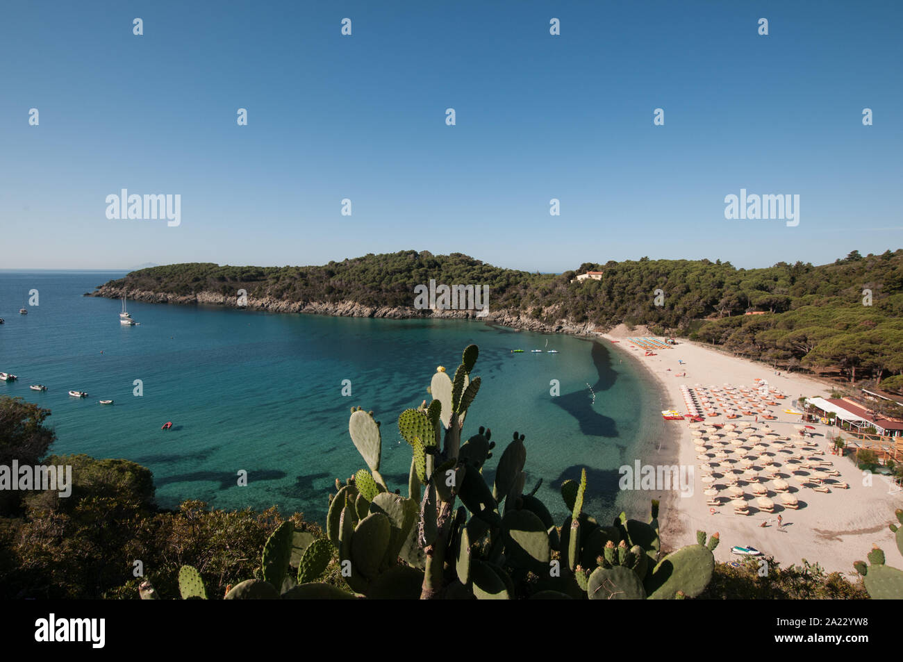 Spiaggia di Fetovaia Foto Stock