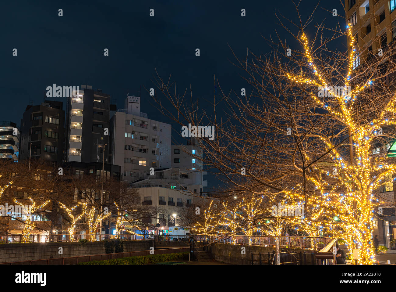 Fiume Meguro winter festival di illuminazione, bella vista, popolari attrazioni turistiche, le destinazioni di viaggio per le vacanze, famose romantiche luce anche Foto Stock