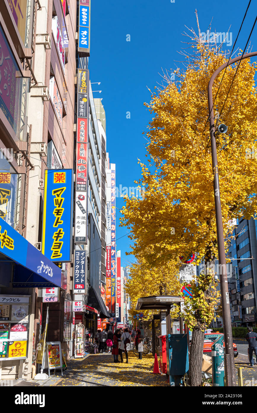 Vista sulla strada della Stazione di Asakusabashi area esterna con la giornata di sole e cielo blu nel fogliame autunnale Stagione. Passeggiate pedonali nel ginkgo alberi caduti Foto Stock