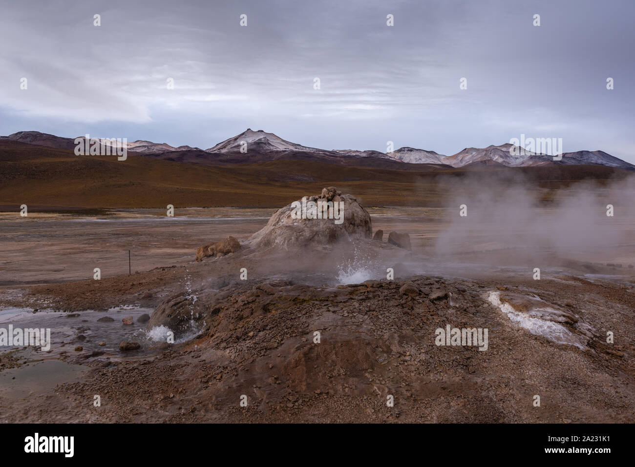 Escursione a Geysir El Tatio ad una altitudine di 5,200m sopra il livello del mare e a San Pedro de Atacama, Antofagasta, Repubblica del Cile America Latina Foto Stock Escursione a Geysir El Tatio ad una altitudine di 5,200m sopra il livello del mare e a San Pedro de Atacama, Antofagasta, Repubblica del Cile America Latina Foto Stock
