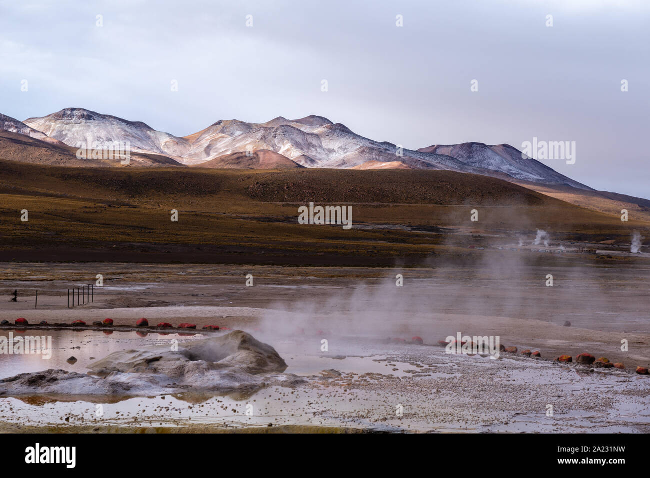 Escursione a Geysir El Tatio ad una altitudine di 5,200m sopra il livello del mare e a San Pedro de Atacama, Antofagasta, Repubblica del Cile America Latina Foto Stock Escursione a Geysir El Tatio ad una altitudine di 5,200m sopra il livello del mare e a San Pedro de Atacama, Antofagasta, Repubblica del Cile America Latina Foto Stock