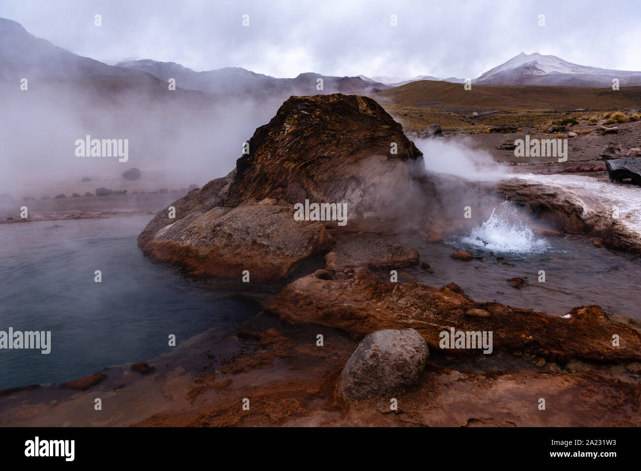 Escursione a Geysir El Tatio ad una altitudine di 5,200m sopra il livello del mare e a San Pedro de Atacama, Antofagasta, Repubblica del Cile America Latina Foto Stock Escursione a Geysir El Tatio ad una altitudine di 5,200m sopra il livello del mare e a San Pedro de Atacama, Antofagasta, Repubblica del Cile America Latina Foto Stock