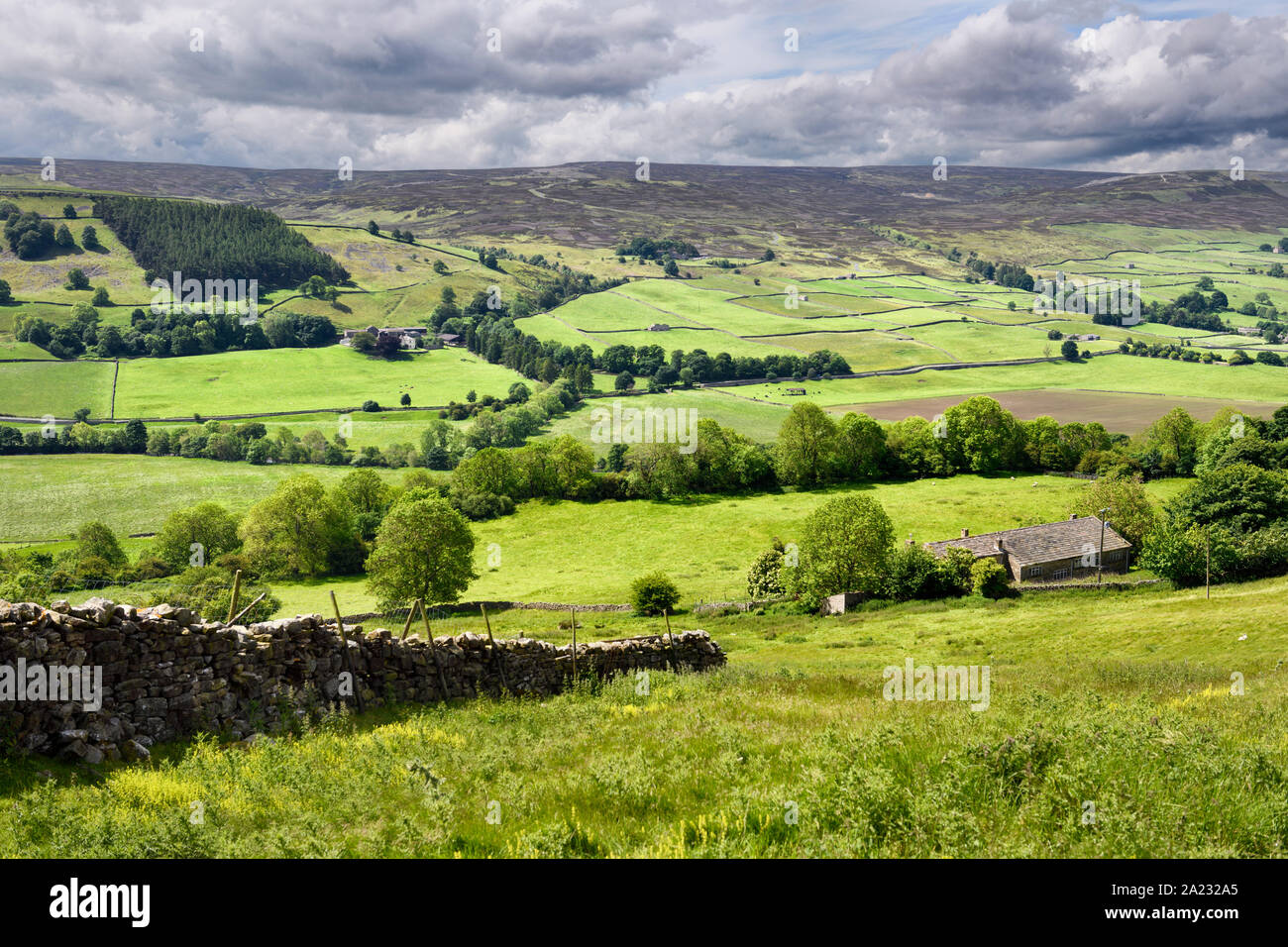 Viale alberato fiume Swale in Swaledale con pareti graystone e allevamenti di ovini e caprini con la brughiera sulla parte superiore del bordo Fremington Fremington Richmond Inghilterra England Foto Stock