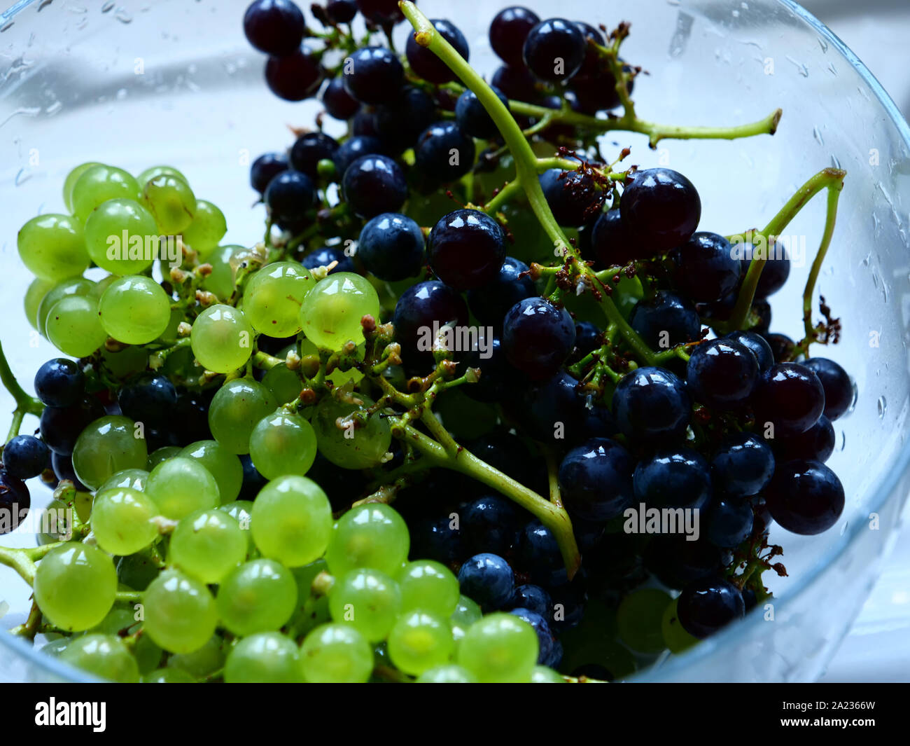 Bianco e nero uva da giardino, coltivati biologicamente, in un recipiente di vetro. Foto Stock