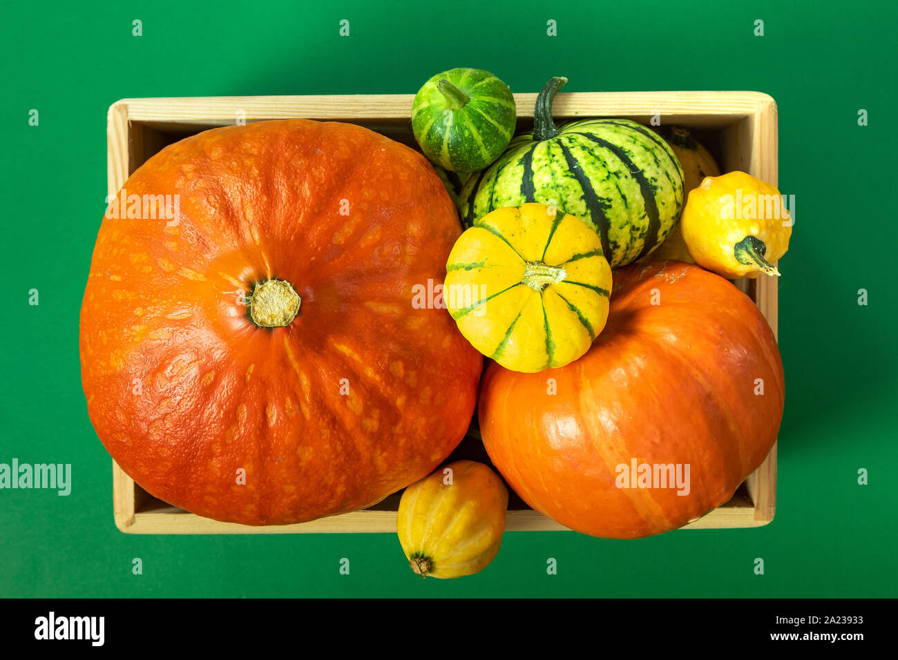 In autunno la composizione di ringraziamento con assortimento di zucche nel vassoio di legno sul tavolo verde. Vista dall'alto. Foto Stock