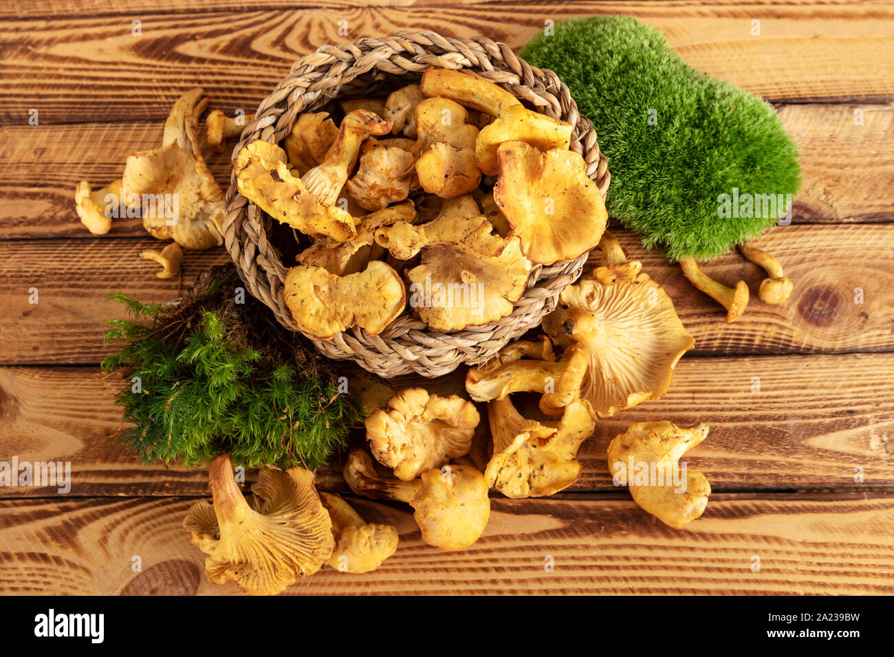 Funghi finferli su sfondo di legno. Dal design rustico. Foto Stock