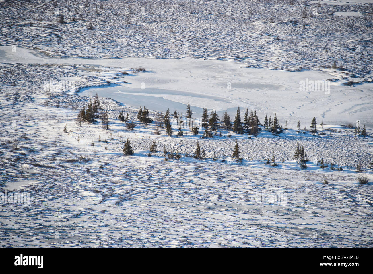 Hudson Bay è un'area pianuosa in cui si gela dall'aria. Alberi boreali e stagni, Churchill, Manitoba, Canada Foto Stock