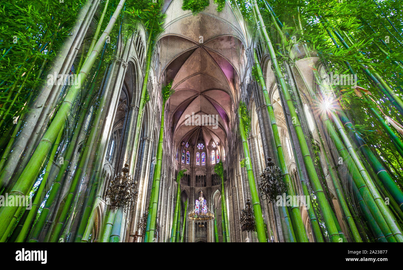 Bambù concetto della cattedrale di Bourges, coro della natura, editing digitale Foto Stock