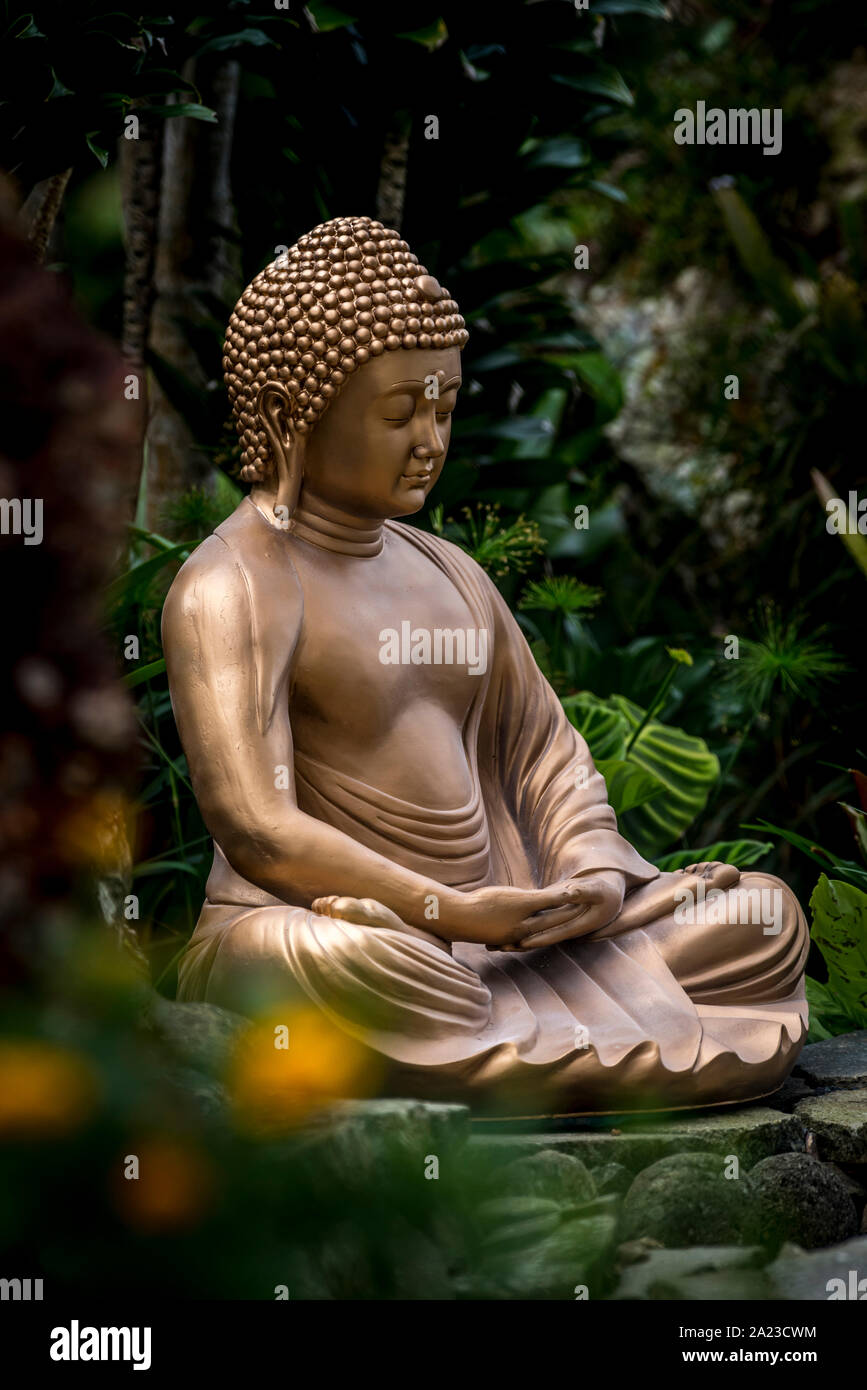 Golden statua del Buddha in un giardino di pietra con piante verdi in background Foto Stock